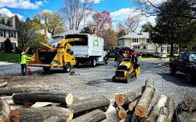 Best Lot and Land Clearing Services  in London, CA